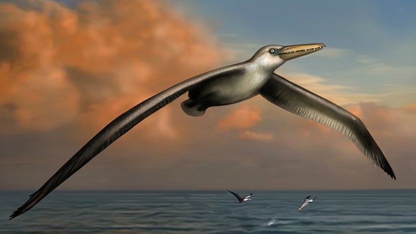 Thank God, they are extinct! 25 awful creatures who once inhabited Earth Thank God, they are extinct! 25 awful creatures who once inhabited Earth