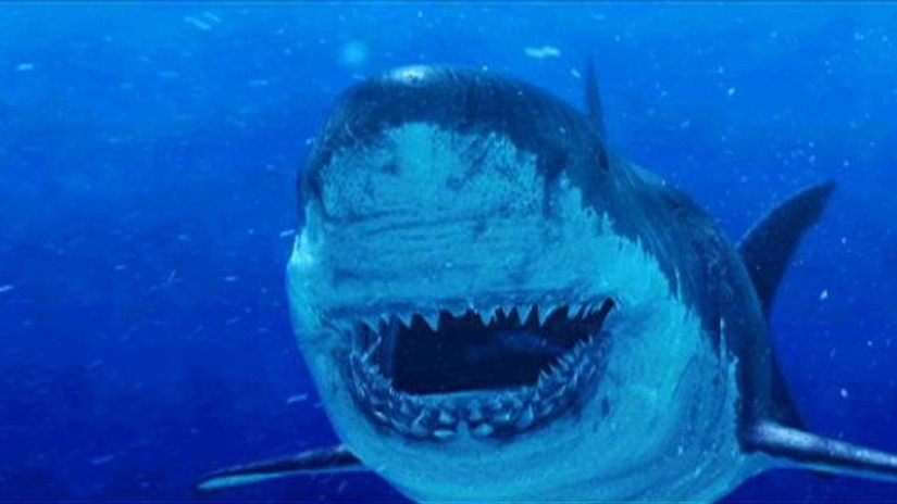 Thank God, they are extinct! 25 awful creatures who once inhabited Earth Thank God, they are extinct! 25 awful creatures who once inhabited Earth