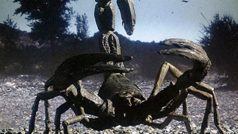 Thank God, they are extinct! 25 awful creatures who once inhabited Earth Thank God, they are extinct! 25 awful creatures who once inhabited Earth