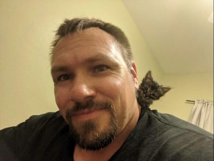 Thank you, people! 30 homeless animals who were given a new life Thank you, people! 30 homeless animals who were given a new life