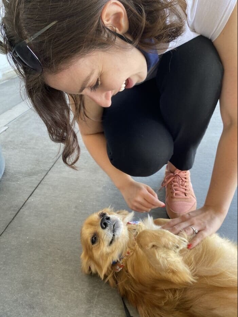 Thank you, people! 30 homeless animals who were given a new life Thank you, people! 30 homeless animals who were given a new life