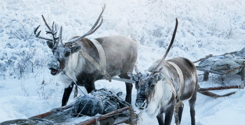 That, but not that: the most famous fake attractions