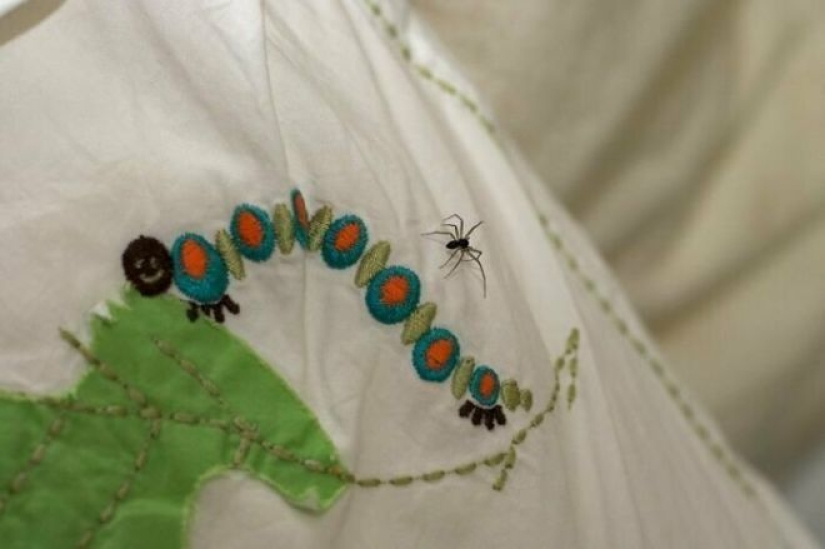 That's not true! 30 common myths that people persist in believing That's not true! 30 common myths that people persist in believing