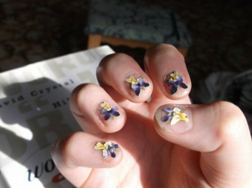 That's not true! 30 common myths that people persist in believing That's not true! 30 common myths that people persist in believing