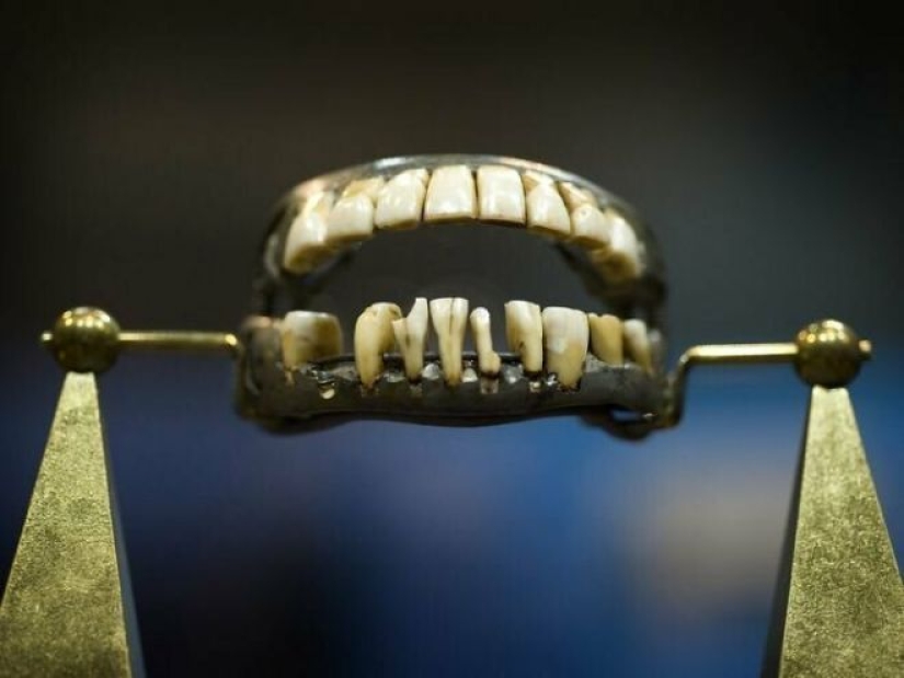 That's not true! 30 common myths that people persist in believing That's not true! 30 common myths that people persist in believing