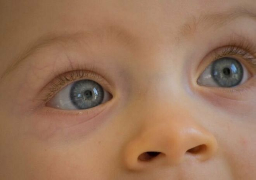 That's not true! 30 common myths that people persist in believing That's not true! 30 common myths that people persist in believing