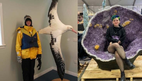 That's the size! 22 times when the actual dimensions were completely unexpected That's the size! 22 times when the actual dimensions were completely unexpected