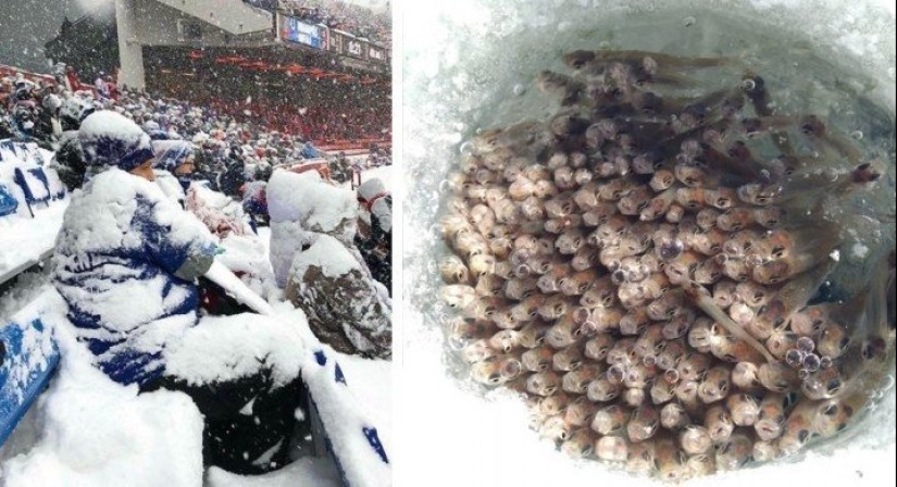 That's what a real winter: 30+ photos that you will be cold