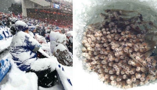 That's what a real winter: 30+ photos that you will be cold