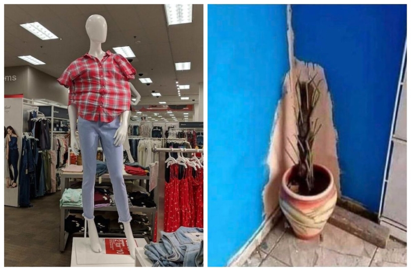 The 22 most impressive examples of chronic laziness The 22 most impressive examples of chronic laziness