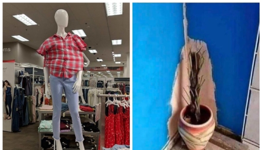 The 22 most impressive examples of chronic laziness