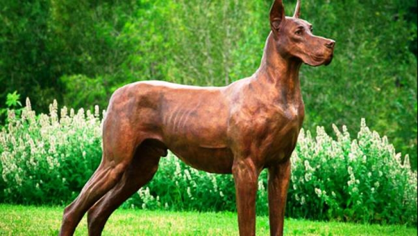 The 25 most dangerous dog breeds