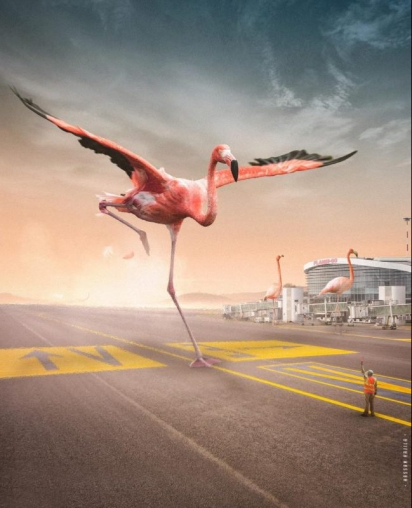 The Amazing Worlds of Hassan Hajil The Amazing Worlds of Hassan Hajil