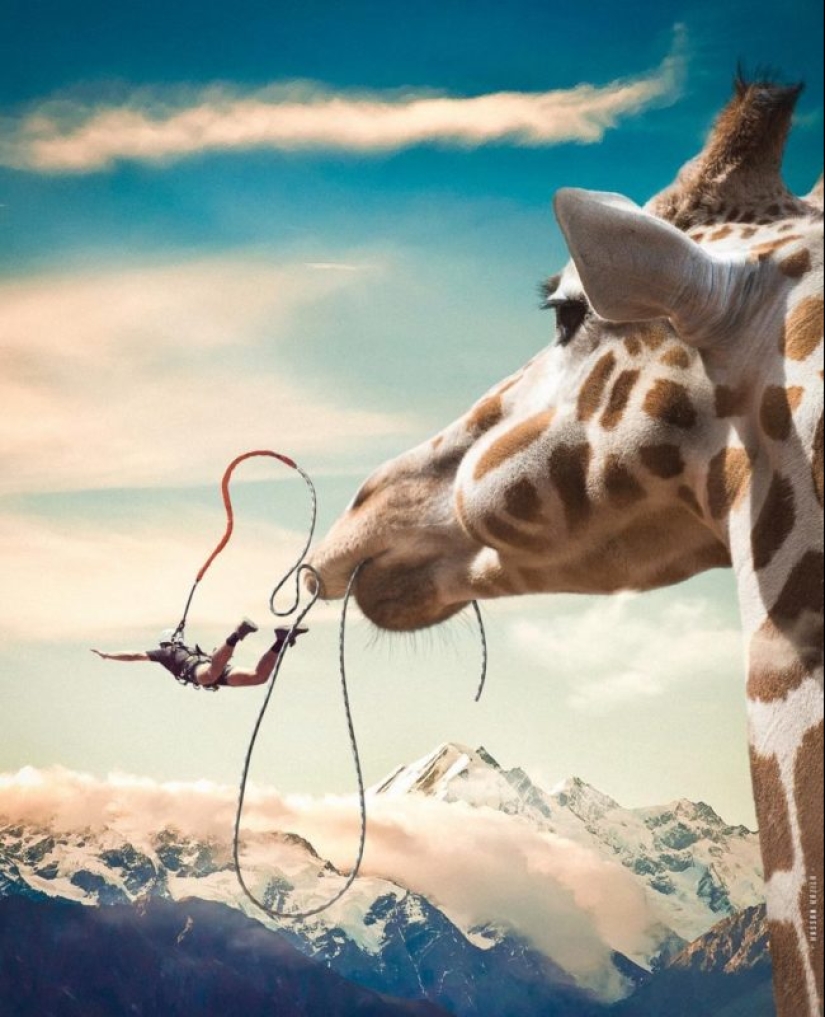 The Amazing Worlds of Hassan Hajil The Amazing Worlds of Hassan Hajil