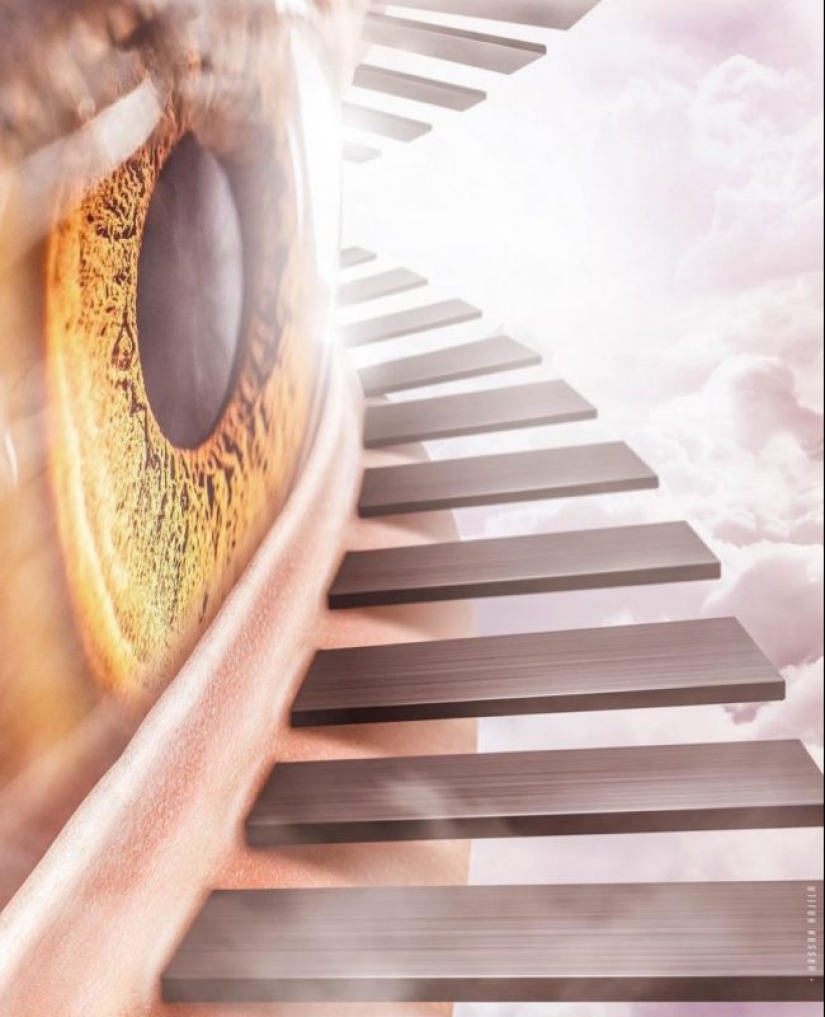 The Amazing Worlds of Hassan Hajil The Amazing Worlds of Hassan Hajil