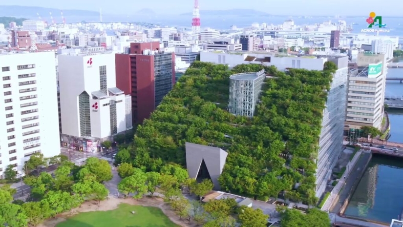 The architects of these houses proved that a garden can be created even on the roof The architects of these houses proved that a garden can be created even on the roof