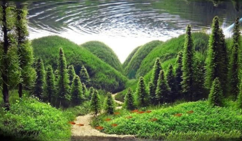 The art of aquariums — amazing underwater landscapes The art of aquariums — amazing underwater landscapes