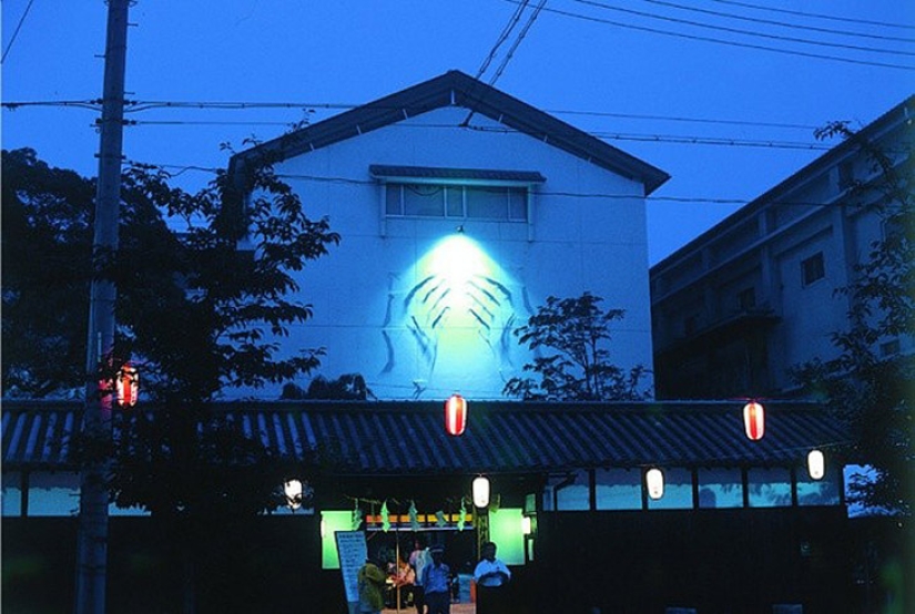 The artist who paints with shadows