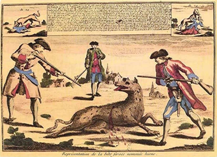 The Beast of Zhevodan: a fairy tale with an unhappy ending The Beast of Zhevodan: a fairy tale with an unhappy ending