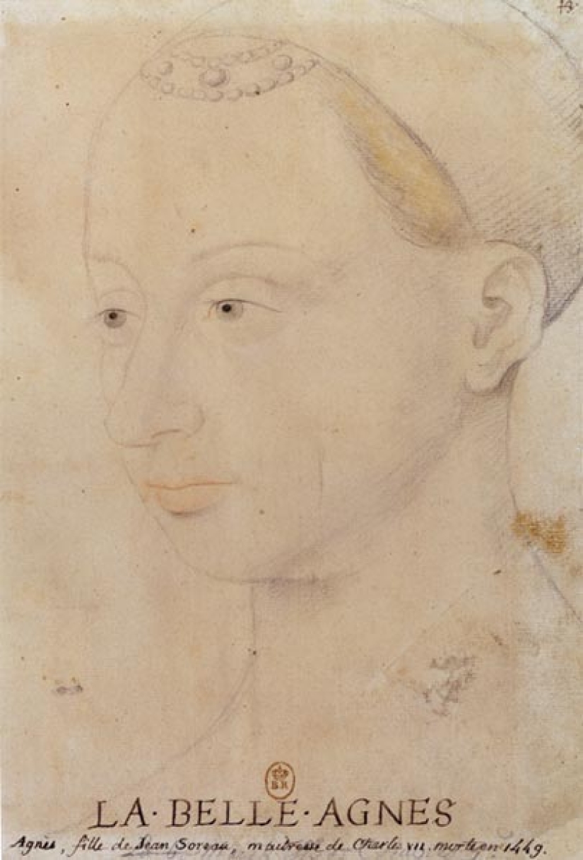 The beautiful Agnes: what did the king's favorite, depicted on the Melensky diptych, look like in life