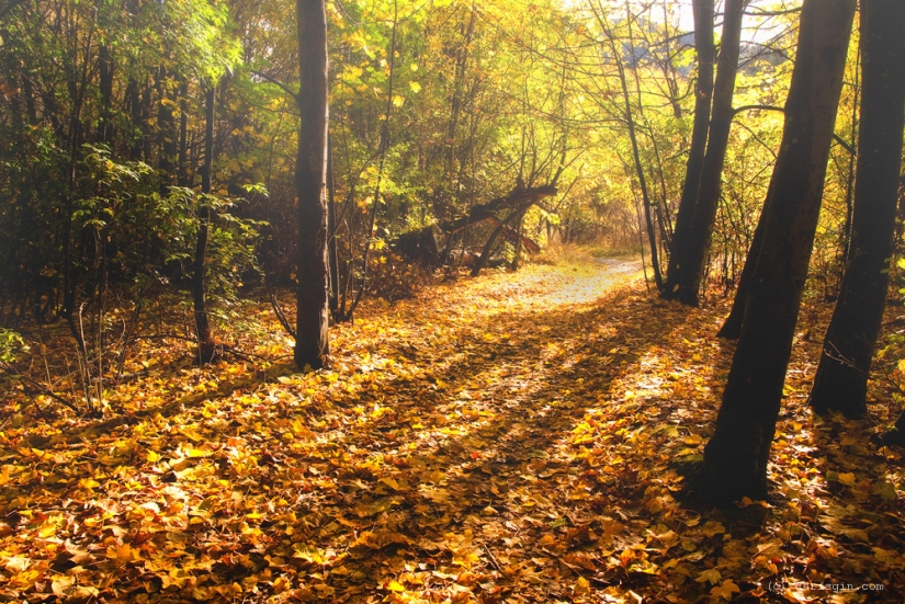 The beauty of New Zealand landscapes in the lens of Chris Jean The beauty of New Zealand landscapes in the lens of Chris Jean