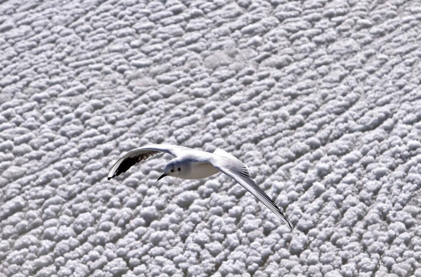 The beauty of winter The beauty of winter