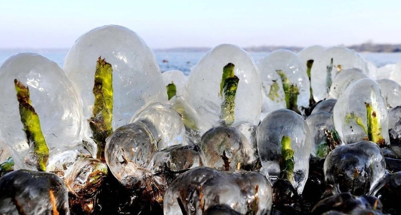 The beauty of winter The beauty of winter