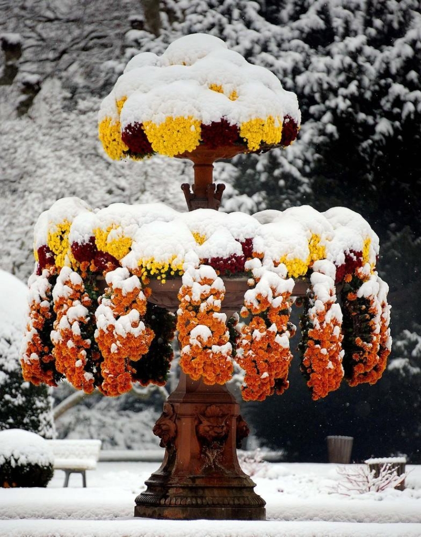 The beauty of winter The beauty of winter