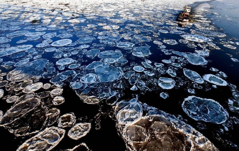 The beauty of winter The beauty of winter