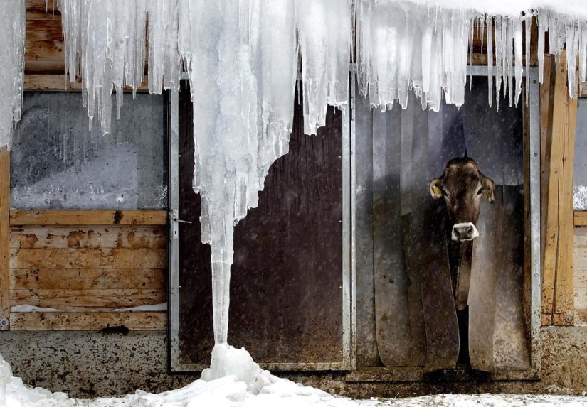 The beauty of winter The beauty of winter