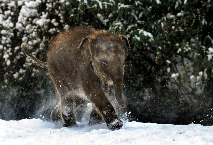 The beauty of winter The beauty of winter