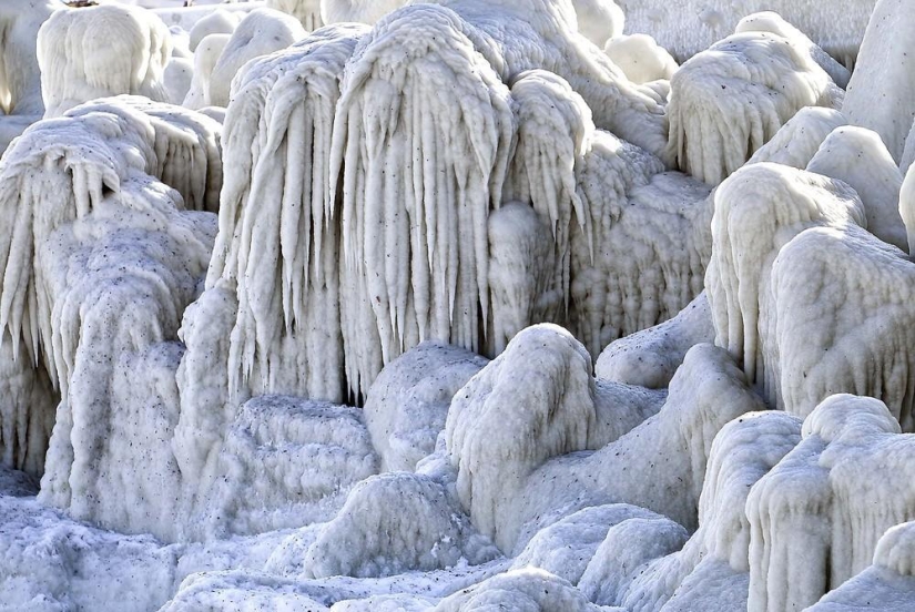 The beauty of winter The beauty of winter