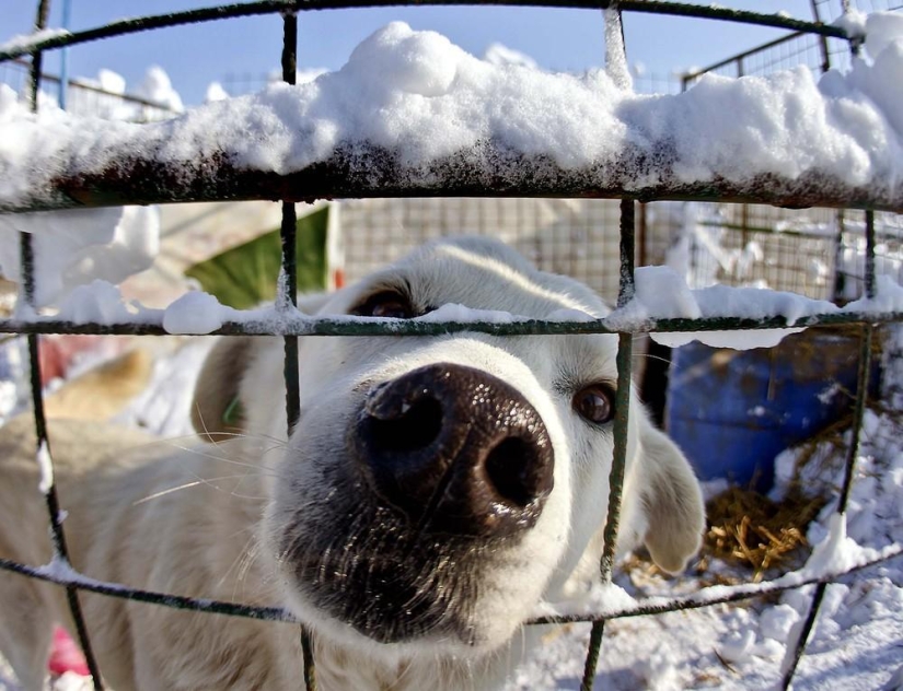 The beauty of winter The beauty of winter