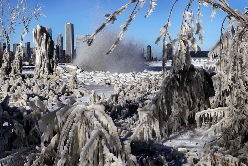 The beauty of winter The beauty of winter