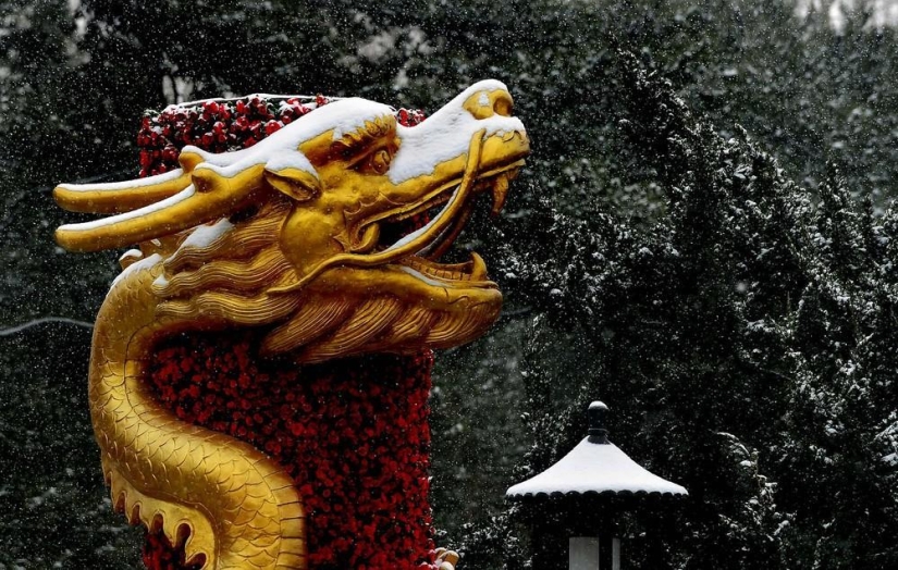 The beauty of winter The beauty of winter