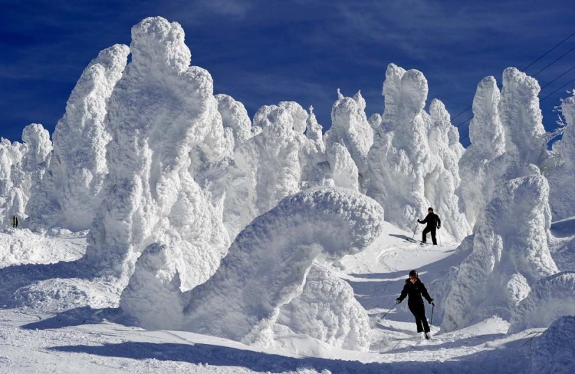 The beauty of winter The beauty of winter