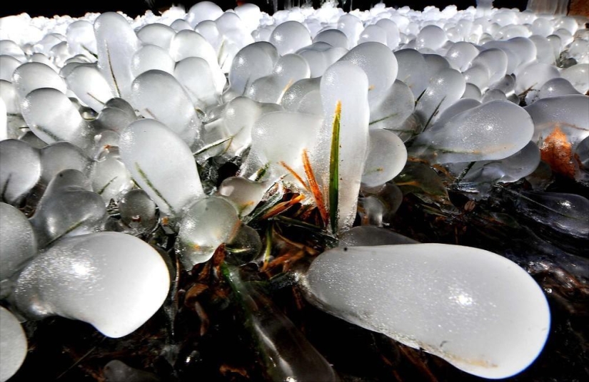 The beauty of winter The beauty of winter