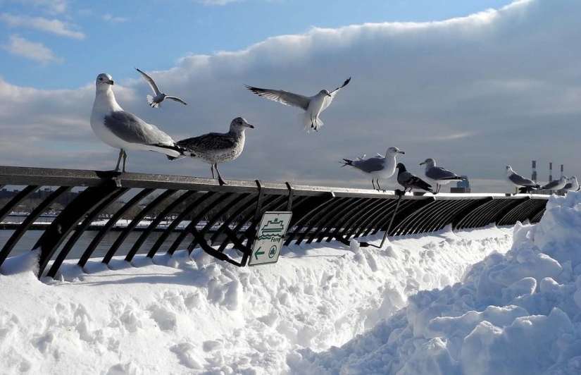 The beauty of winter The beauty of winter