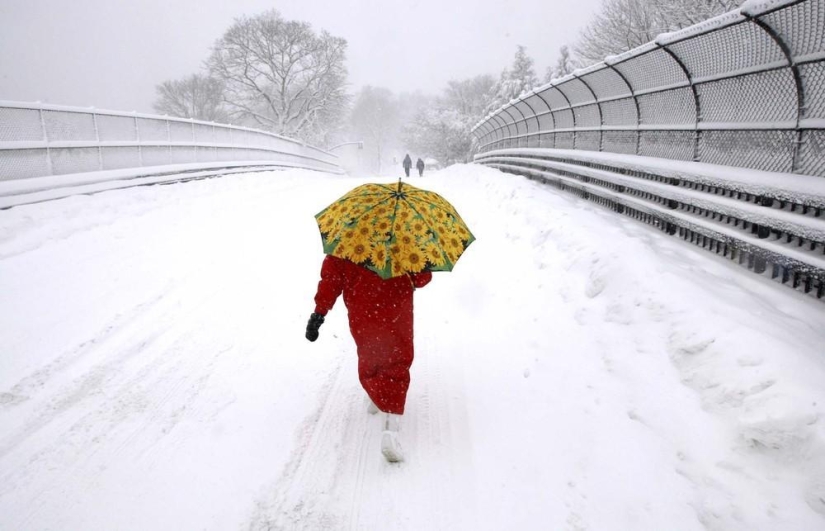 The beauty of winter The beauty of winter