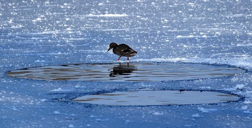 The beauty of winter The beauty of winter