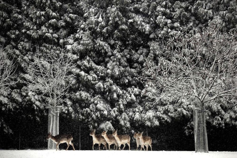 The beauty of winter The beauty of winter