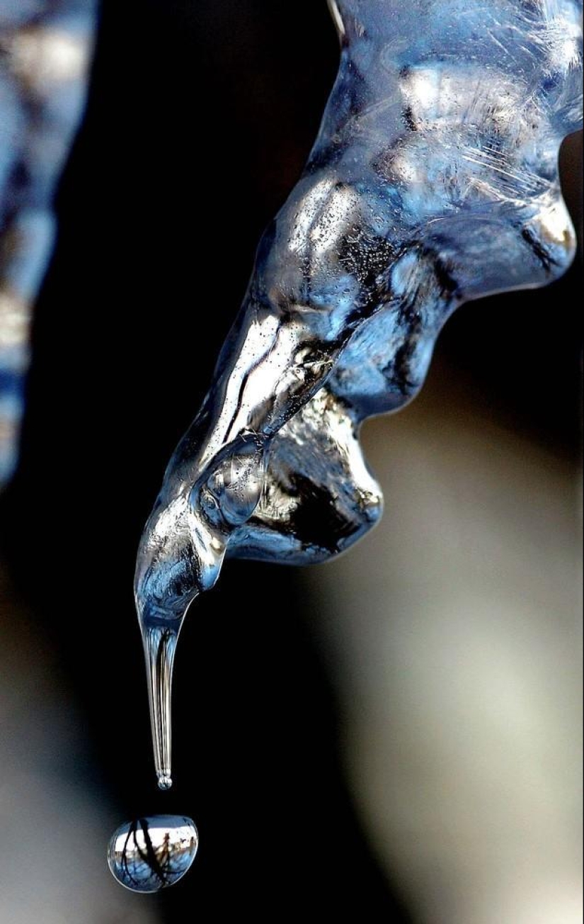 The beauty of winter The beauty of winter