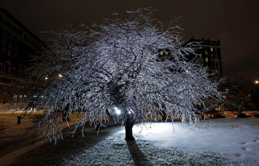 The beauty of winter The beauty of winter