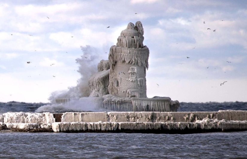 The beauty of winter The beauty of winter