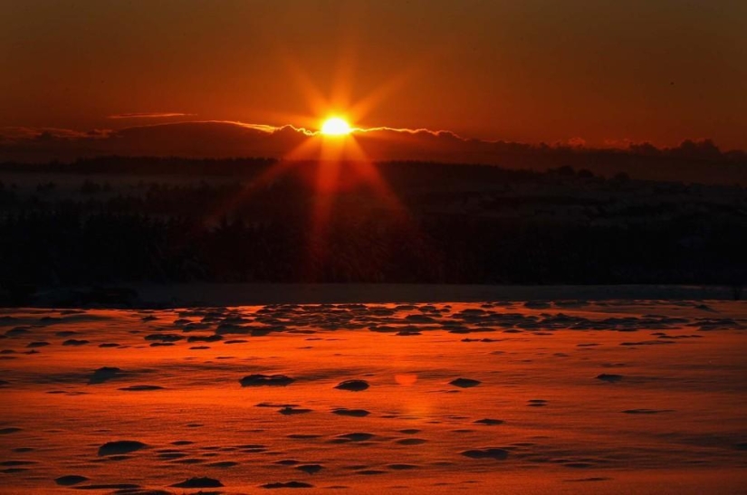 The beauty of winter The beauty of winter