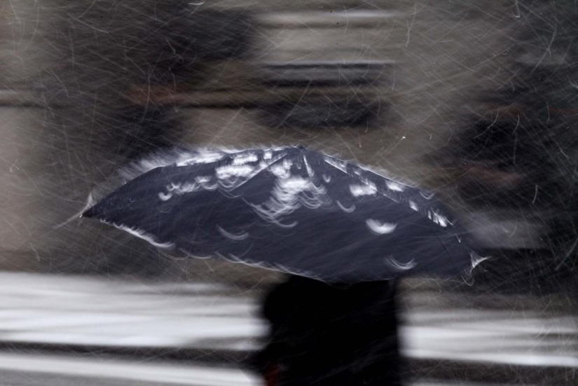 The beauty of winter The beauty of winter