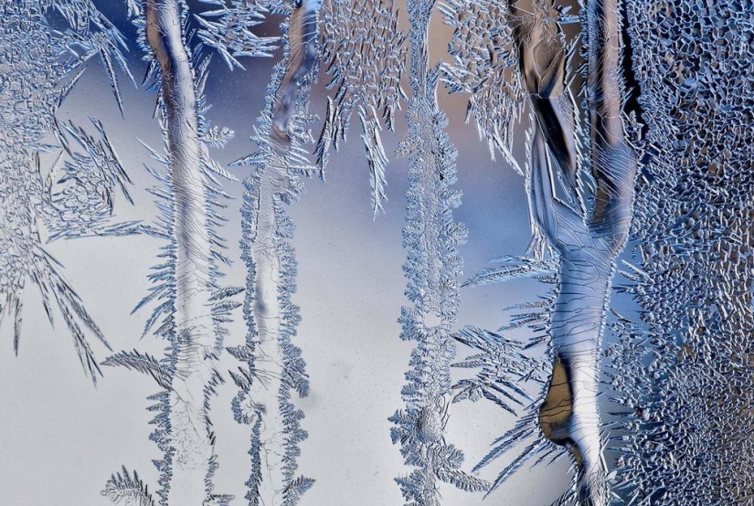 The beauty of winter The beauty of winter