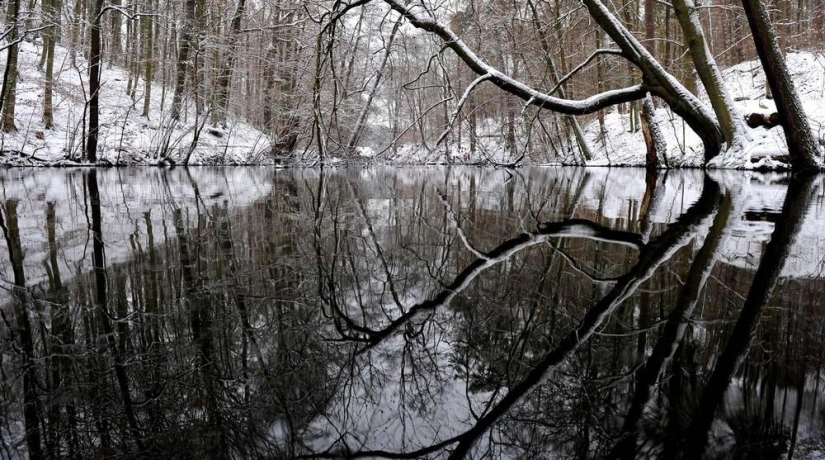 The beauty of winter The beauty of winter