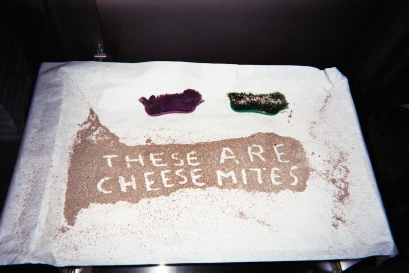 The Cheese Hole: un día en la vida de un quesero de Brooklyn The Cheese Hole: un día en la vida de un quesero de Brooklyn