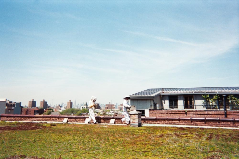 The Cheese Hole: un día en la vida de un quesero de Brooklyn The Cheese Hole: un día en la vida de un quesero de Brooklyn